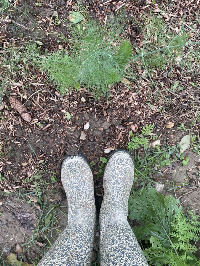 Mes petites bottes à fleurs pour jardiner joyeusement en écolieu !