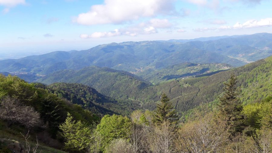 Paysages dans les Vosges