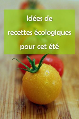 Tomates : idées de recettes écologiques pour cet été