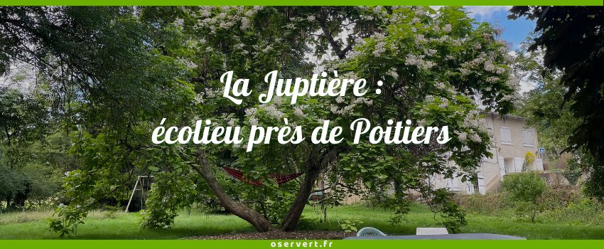 La Juptière, écolieu près de Poitiers - couverture de l'article, texte écrit sur une photo d'un grand arbre remarquable du parc